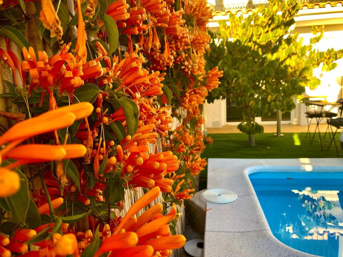 Suite Breeze - Private Heated Pool Malaga Bagian luar foto